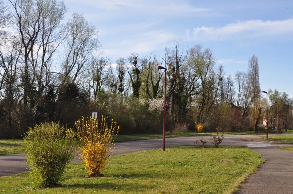 Roseraie (5)