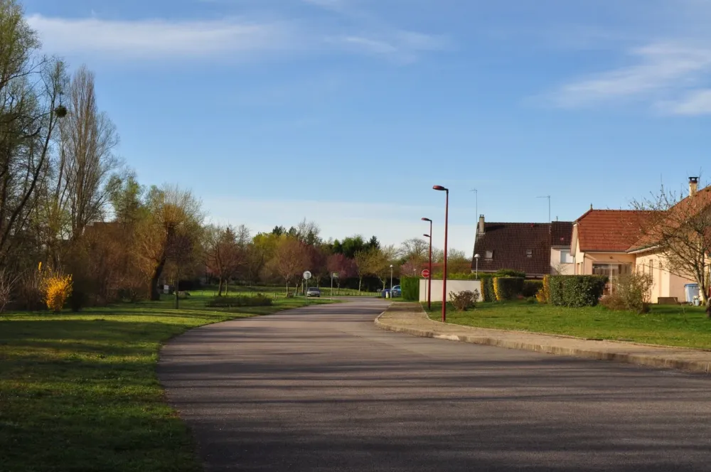 Roseraie (6)